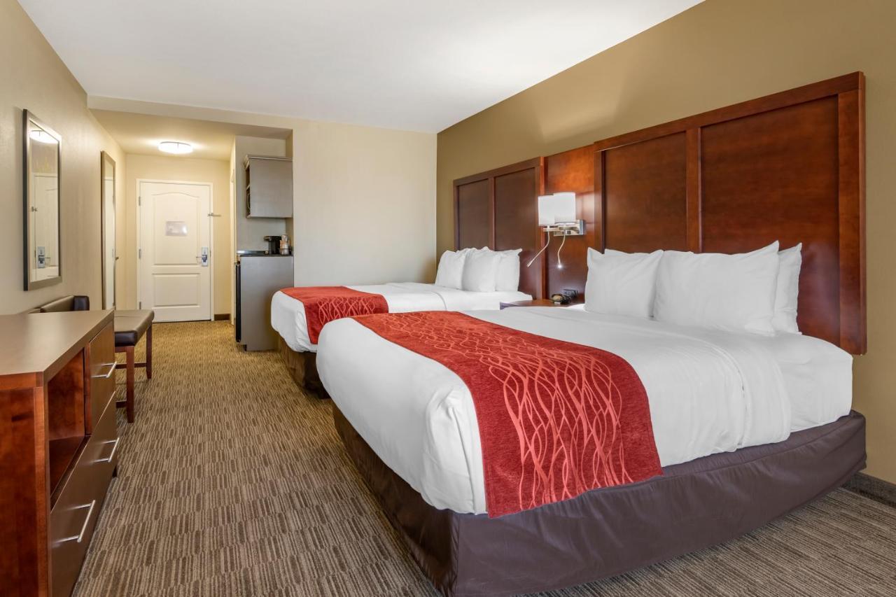 Comfort Inn & Suites Tifton Room photo